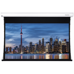 Motorized Screens